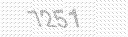 Visual security code — type the characters shown in the image
