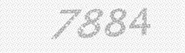 Visual security code — type the characters shown in the image